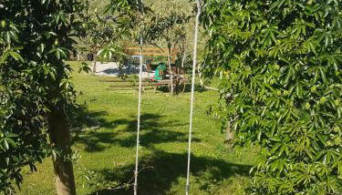 quinta vale da corga - Foto 3, Garden