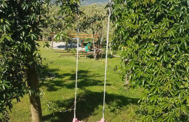 quinta vale da corga - Foto 3