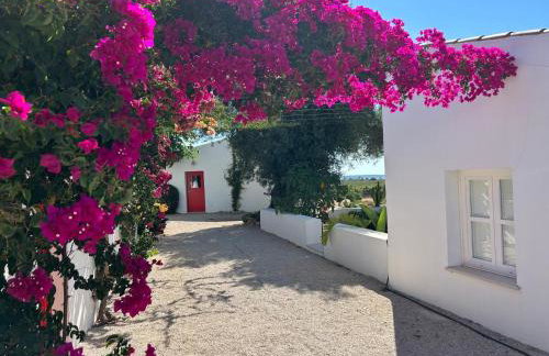 Quinta Castor - Foto 4