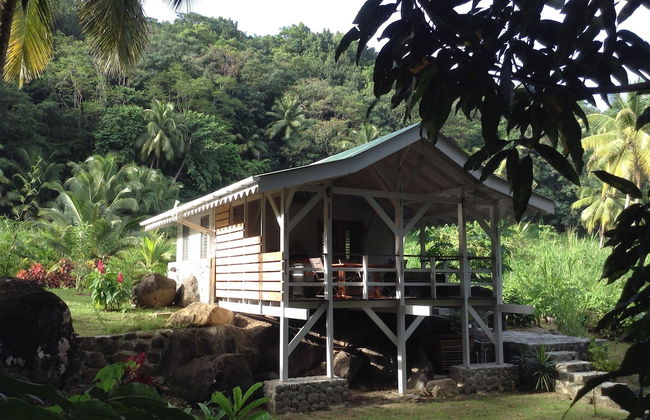 Citrus Creek Plantation - Photo 22