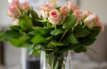 Südwind's Deichperle - Foto 37