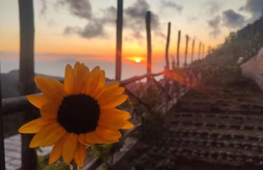 Prima Luce - Foto 27