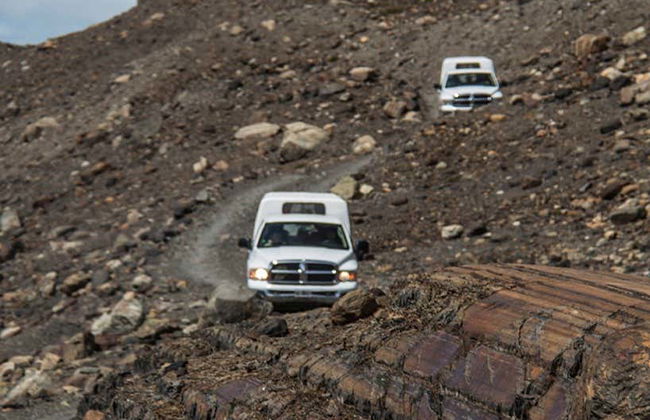 Tour di Estancia Cristina in 4x4 - Foto 3