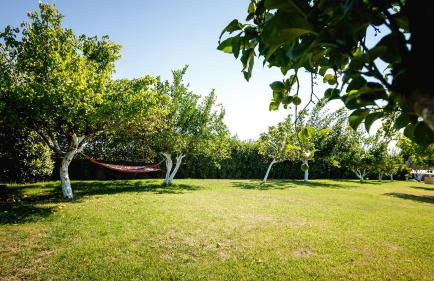 Gravaris House - Foto 63