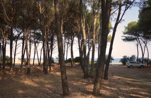 Oasi del Governatore - Foto 9