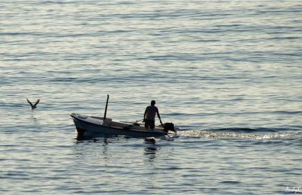 Apartments Tanja - Foto 31