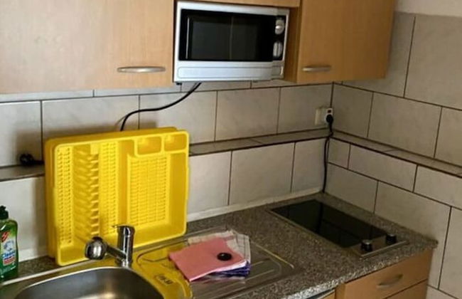 Meierhof Menzenschwand - Foto 3