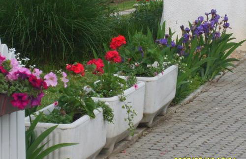 Apartmani Anna - Foto 55