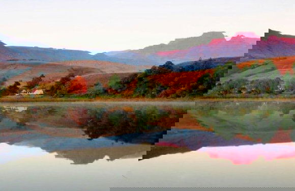 Champagne Haven - Foto 26