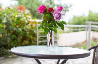 Cozy Resort - Foto 13