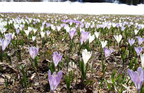 Klaus Prettau - Foto 29