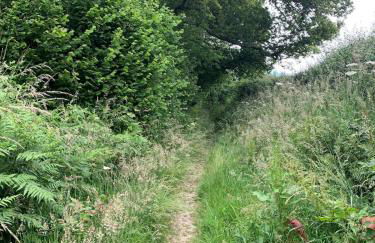 Cute cob cottage - Photo 15