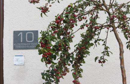 Ferienwohnungen Klosterhof1595 - Foto 64