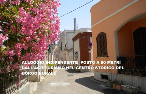 Terra di Leuca - Foto 101