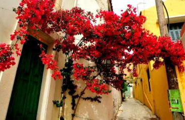 Villa Orestis - Foto 7