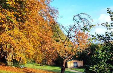 Adorable petit châlet près de la forêt et des commerces - Foto 25