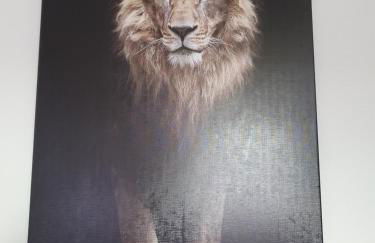 Bolten's Haus - Foto 12