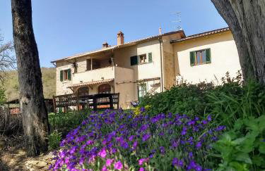 Galealpe - Toscana - Foto 25