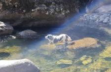 Estalagem do Rancho - Photo 28