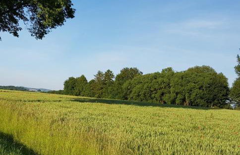 Wohnung Michael Lust auf Zuhause Ferien in der Provinz - Foto 28