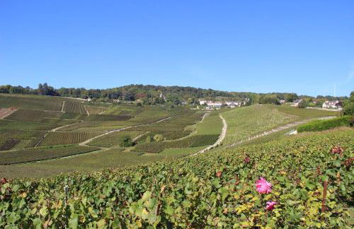 Enjoy en Champagne maison calme au milieu du vignoble avec parking gratuit - Foto 22