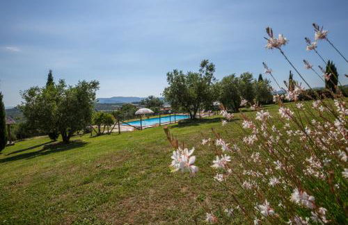 Agriturismo San Nicolò - Foto 17