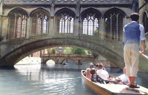 Unique glamping experience near Ely & Cambridge - Foto 14