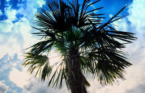 Nocleg Zator Domki Paradise Pod Palmami - Foto 11