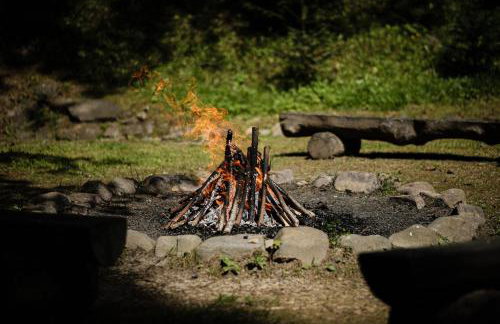 Dom Malowany - Domki - Foto 25