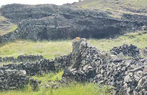 Casa Omaira y Nacho - Foto 75