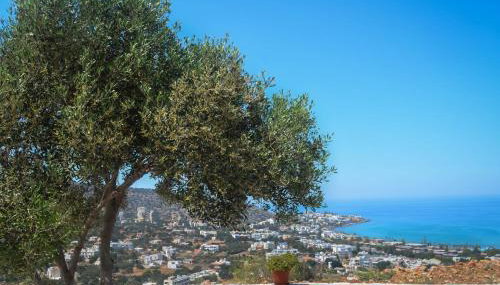 Villa Xenia Stalis - Foto 4