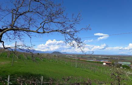 Natura e relax - Foto 9