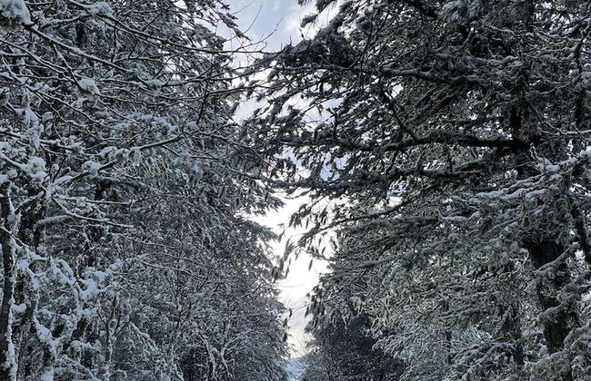 Pedra Nova - Turismo d'aldeia - Photo 35