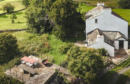 Green Yew - Photo 59