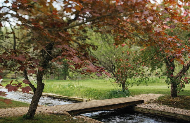 Grayling Gem Royal Stag Lodge - Foto 70