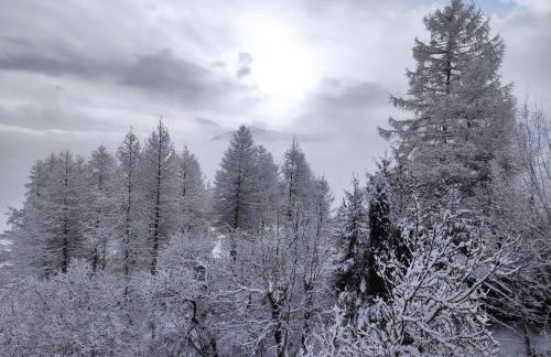 Bel appartement au rez de chaussée d'un chalet - Foto 13