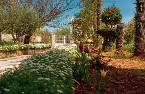 Apartment Villa Olga - Foto 10