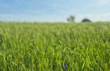 Luxury Apartments Kamienna Góra - Foto 17