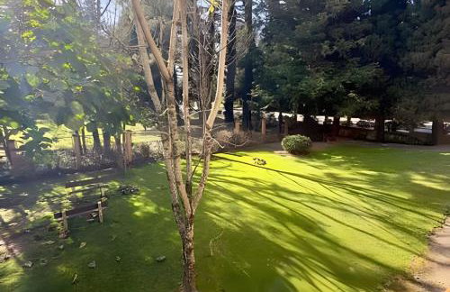 Apartamento à 10 min Centro para 06 Pessoas com Lareira, Ar condicionado e Wi-Fi Veloz - Photo 54