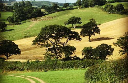 Marshwood Manor Cottages by Group Retreats - Foto 12