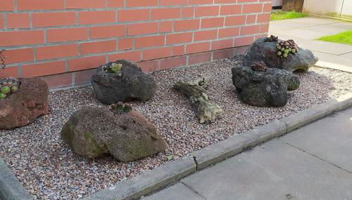 Ferienhaus Monika Nessmersiel - Foto 3, Garden