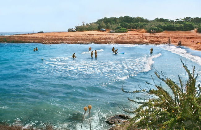 Happy Easy - Foto 21