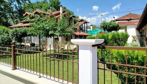 "The plane trees" - Foto 2