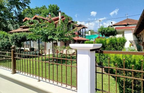 "The plane trees" - Foto 2