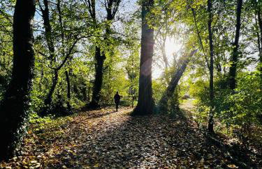 Dapps Hill Haven - between Bristol and Bath, both 9 mins by train! - Foto 59