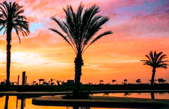 HOP Munay Relajante en Campo y Playa en Chincha - Foto 14