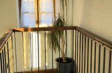 Petrospito by the sea! - Foto 27