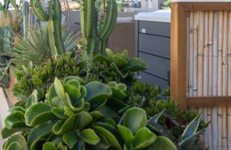 Nikolas Apartments - Photo 47