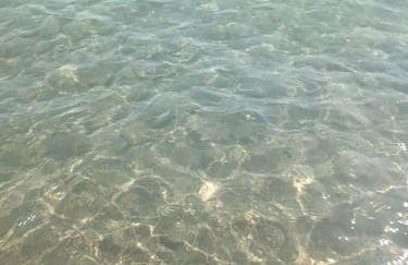 villa Toni - Photo 19