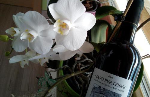 AGRITURISMO MASO PERTENER -adults friendly- - Foto 54